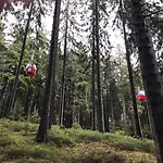 Lejlighed Harzromantik Braunlage