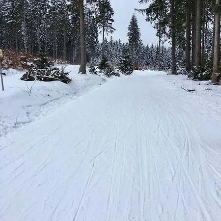 Harzromantik Daire *
