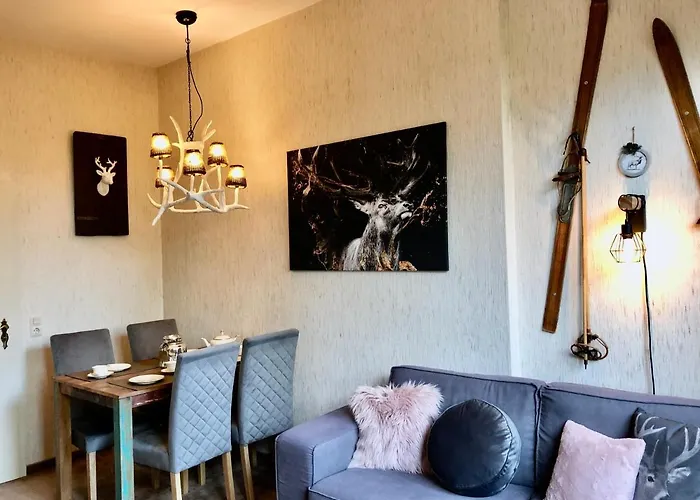 公寓 Harzromantik 布劳恩拉格