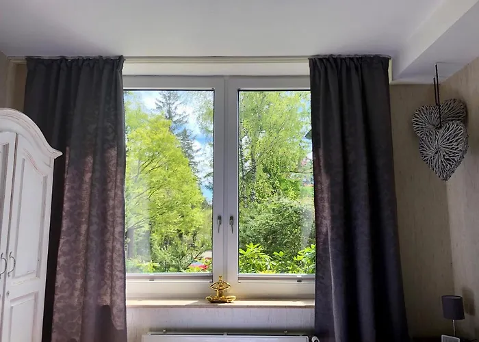 Harzromantik 公寓 布劳恩拉格