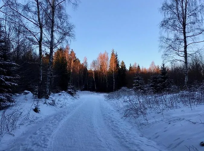 Harzromantik * 布劳恩拉格