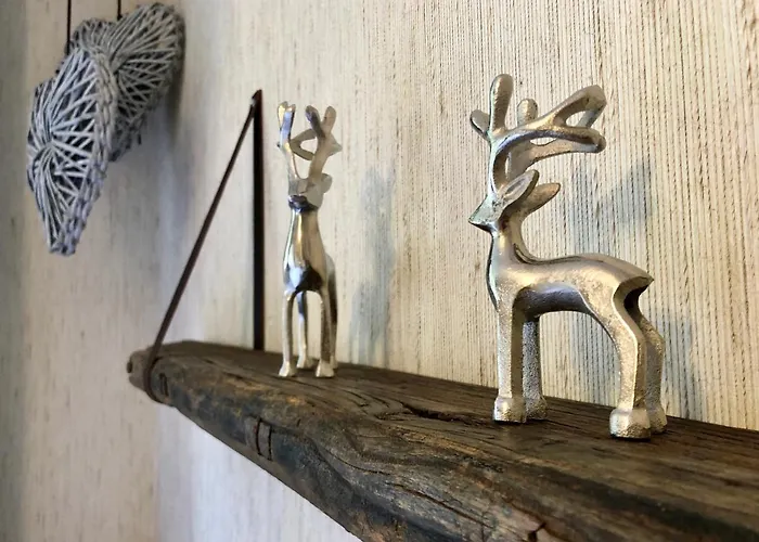 公寓 Harzromantik *