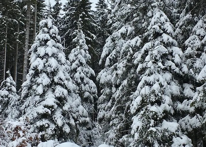 Harzromantik 布劳恩拉格