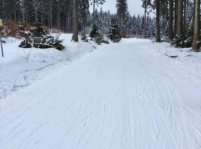 Harzromantik 公寓 *